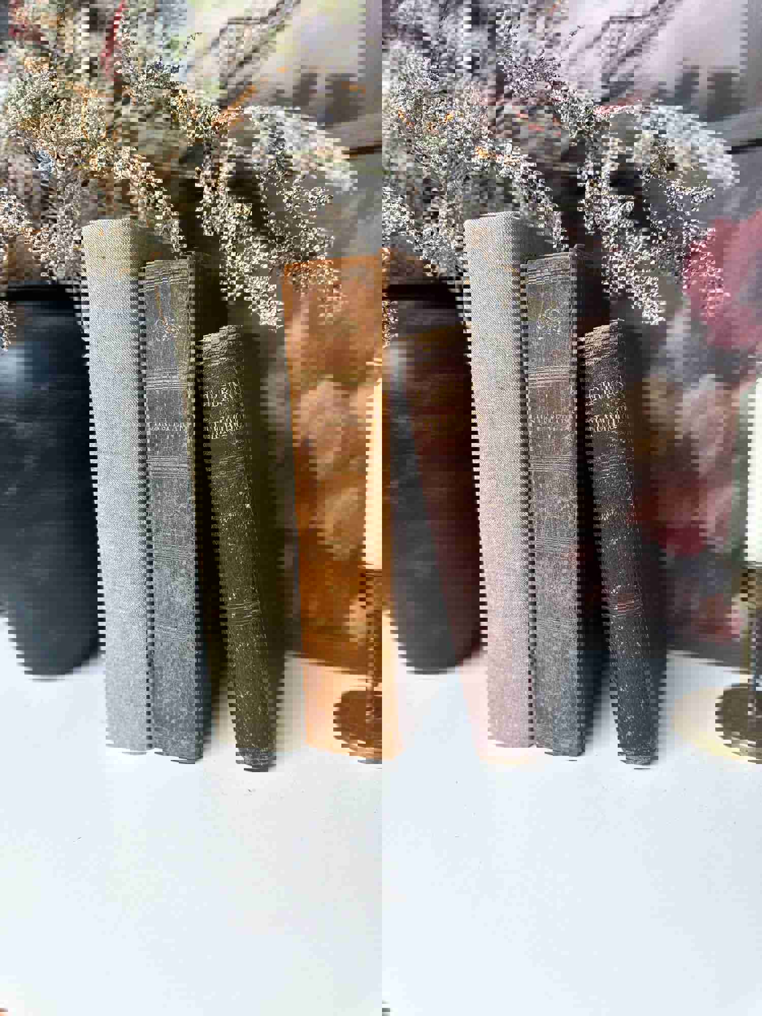 Vintage Book Set for Home Decor