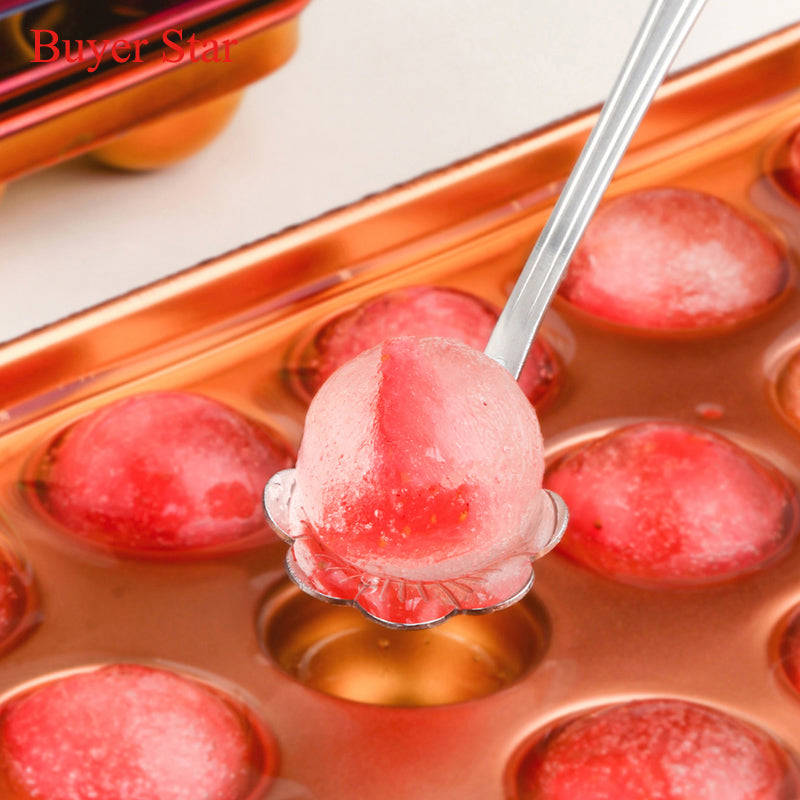 Stainless Steel Round Shape Ice Cube Tray & Ice Ball Maker Mold