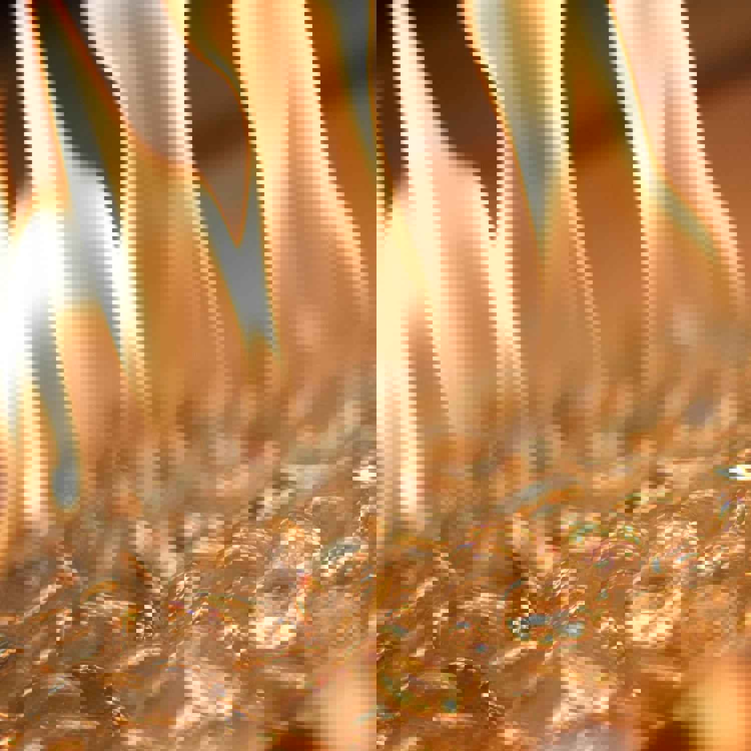 The Outdoor GreatRoom Company Providence 32-Inch Rectangular Natural Gas Fire Pit Table - White