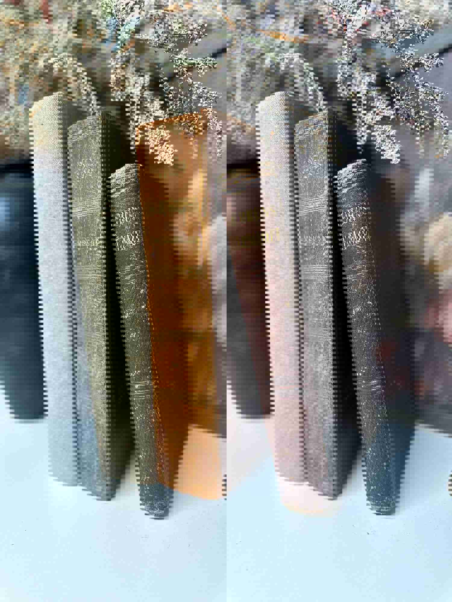 Vintage Book Set for Home Decor