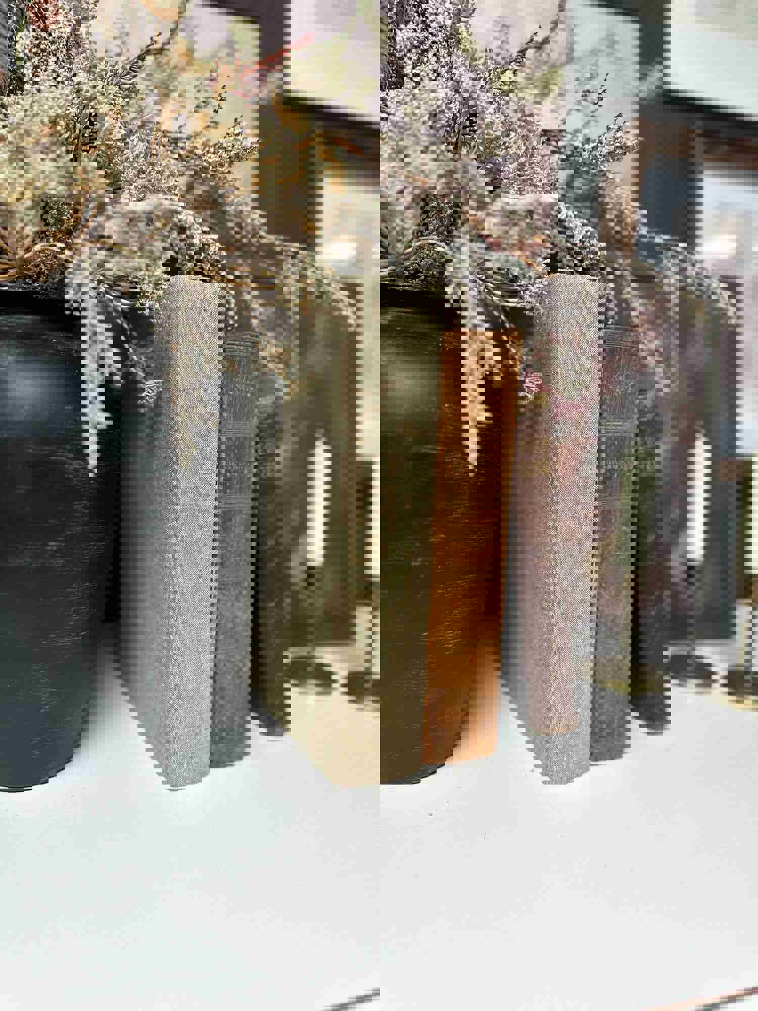 Vintage Book Set for Home Decor