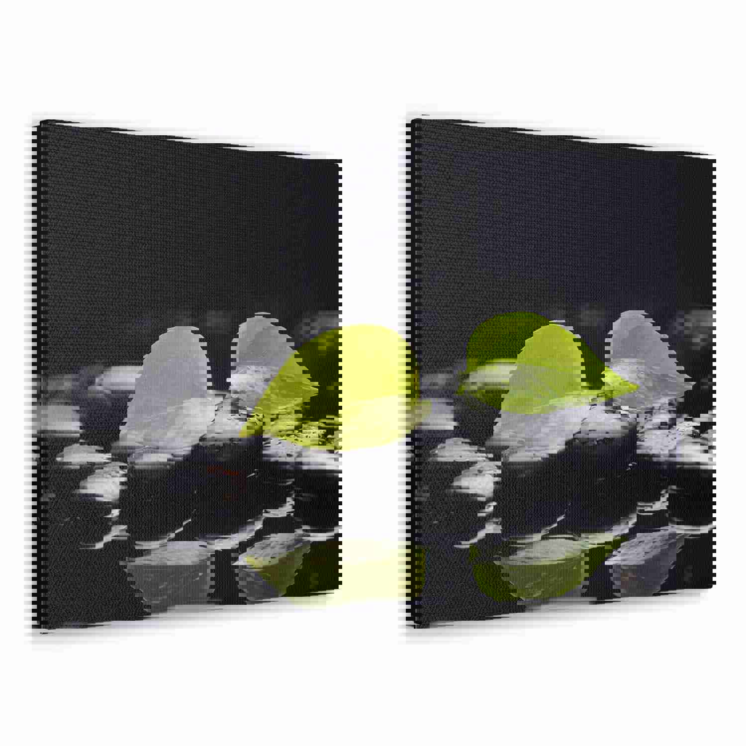 Green Leaf with Stones Forest Floral Nature Photography Canvas Wall Art for Home Decor