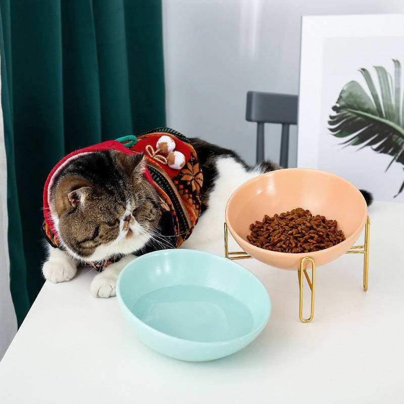 Ceramic Pet Bowl for Cats and Dogs