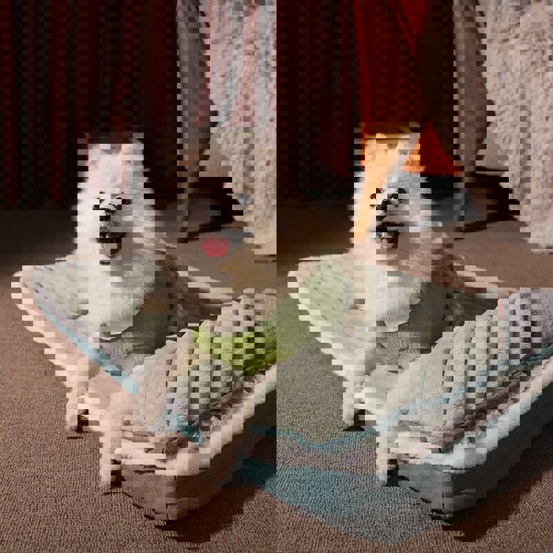 Luxury Orthopedic Memory Foam Pet Bed for Small Dogs and Cats