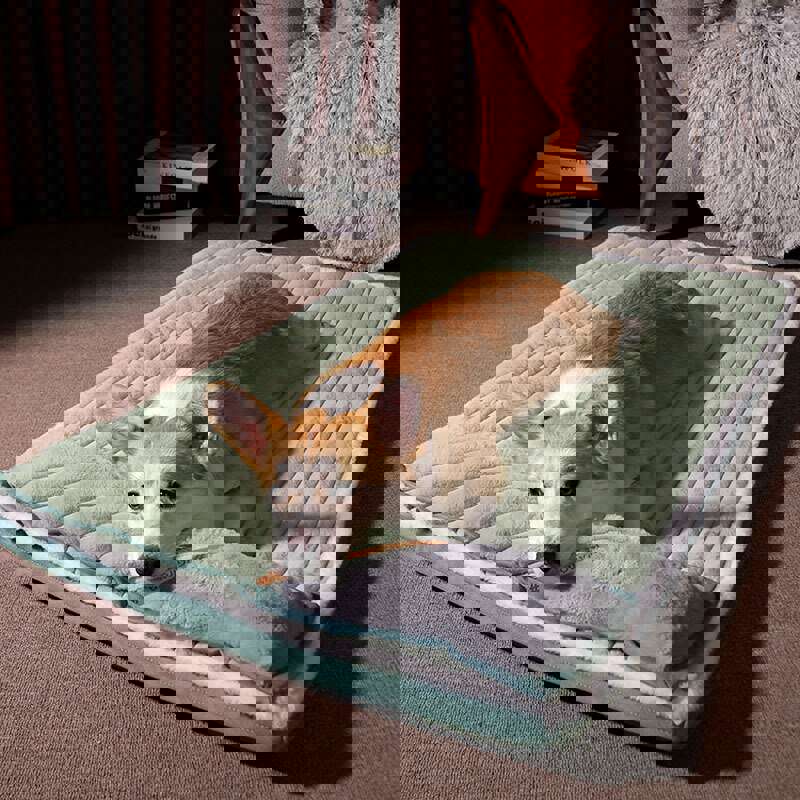 Luxury Orthopedic Memory Foam Pet Bed for Small Dogs and Cats