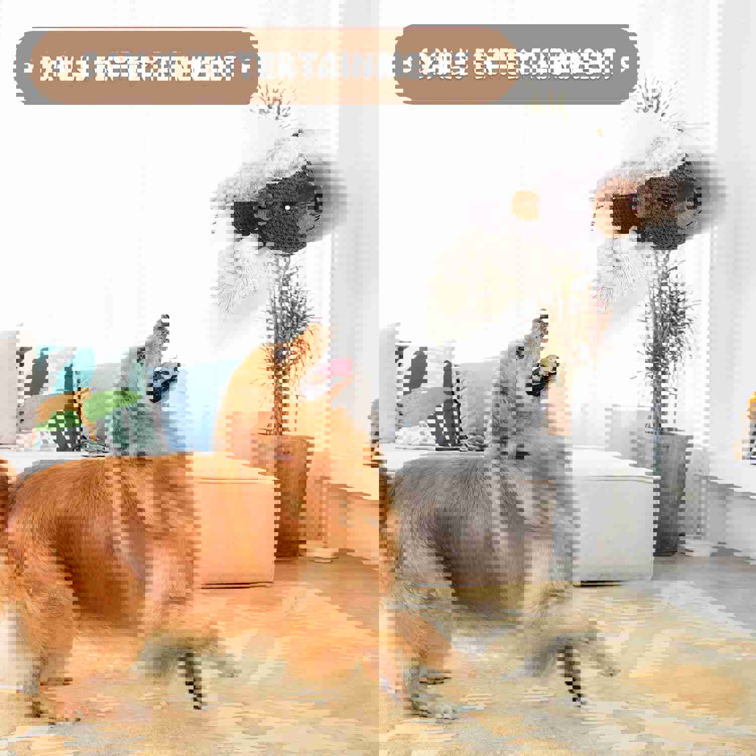 IPORLEER Dog Squeaky Toys - Durable Plush Chew Toy for Small, Medium & Large Dogs