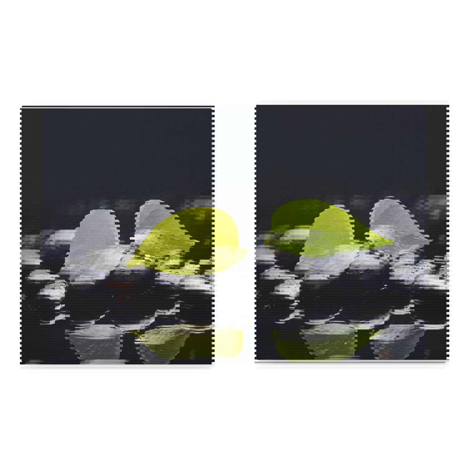 Green Leaf with Stones Forest Floral Nature Photography Canvas Wall Art for Home Decor