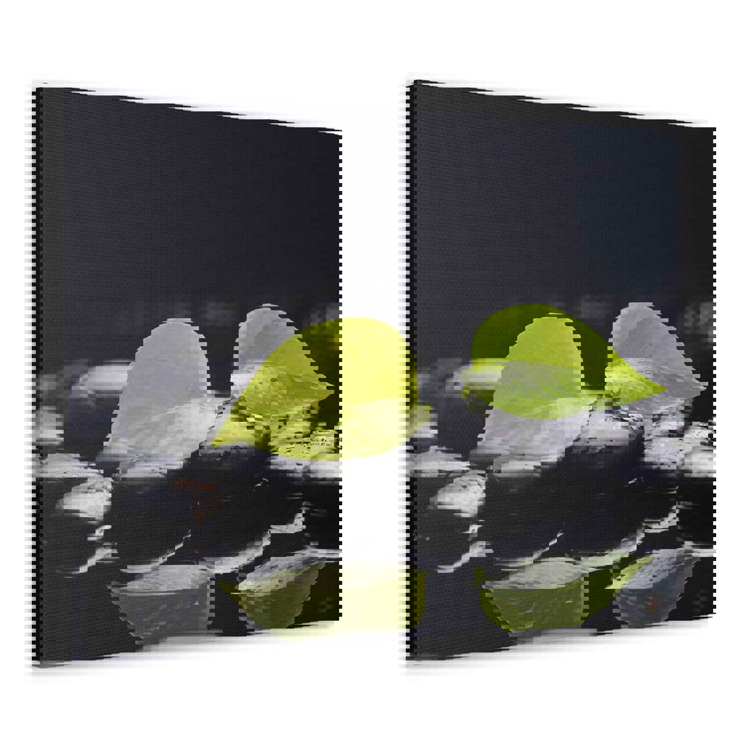 Green Leaf with Stones Forest Floral Nature Photography Canvas Wall Art for Home Decor