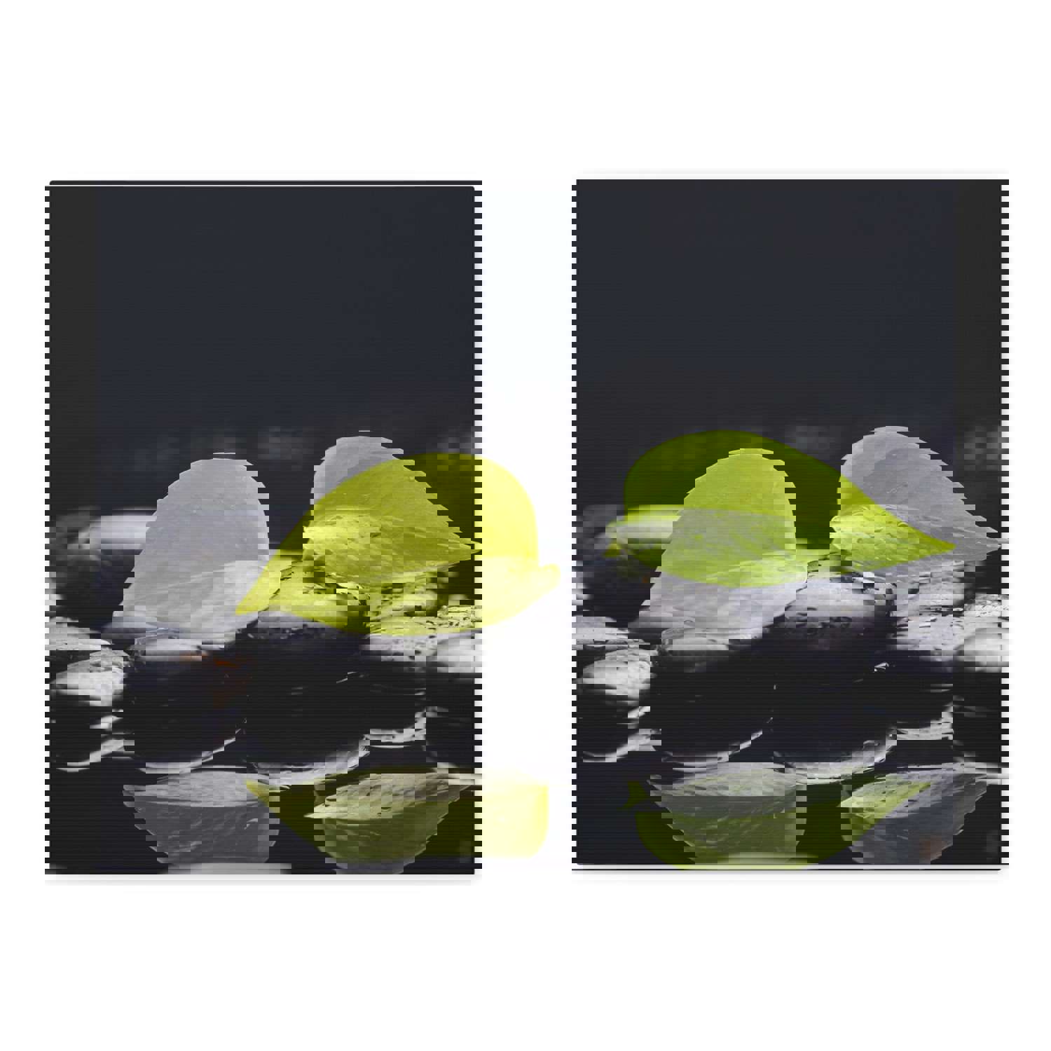 Green Leaf with Stones Forest Floral Nature Photography Canvas Wall Art for Home Decor