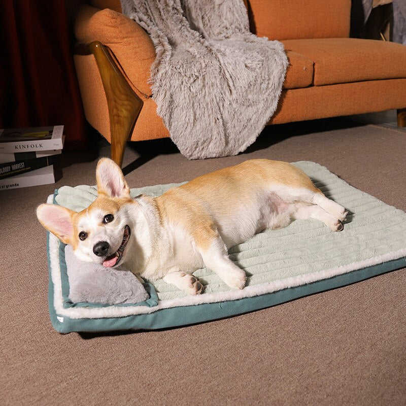 Luxury Orthopedic Memory Foam Pet Bed for Small Dogs and Cats