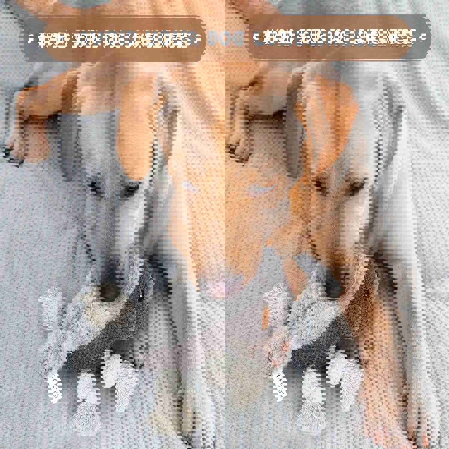 IPORLEER Dog Squeaky Toys - Durable Plush Chew Toy for Small, Medium & Large Dogs