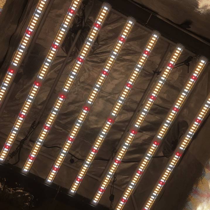 Growers Choice ROI-E680 Full Spectrum LED Grow Light 680W for Horticulture