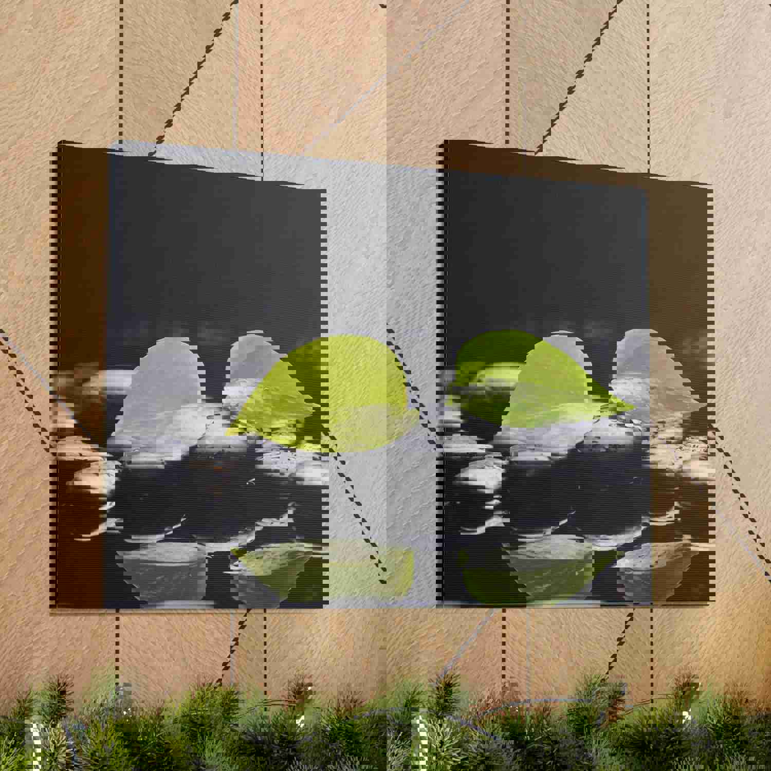 Green Leaf with Stones Forest Floral Nature Photography Canvas Wall Art for Home Decor