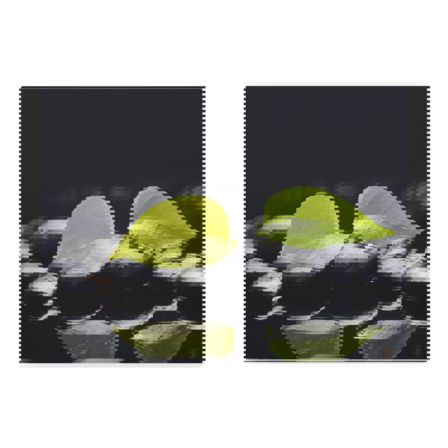 Green Leaf with Stones Forest Floral Nature Photography Canvas Wall Art for Home Decor