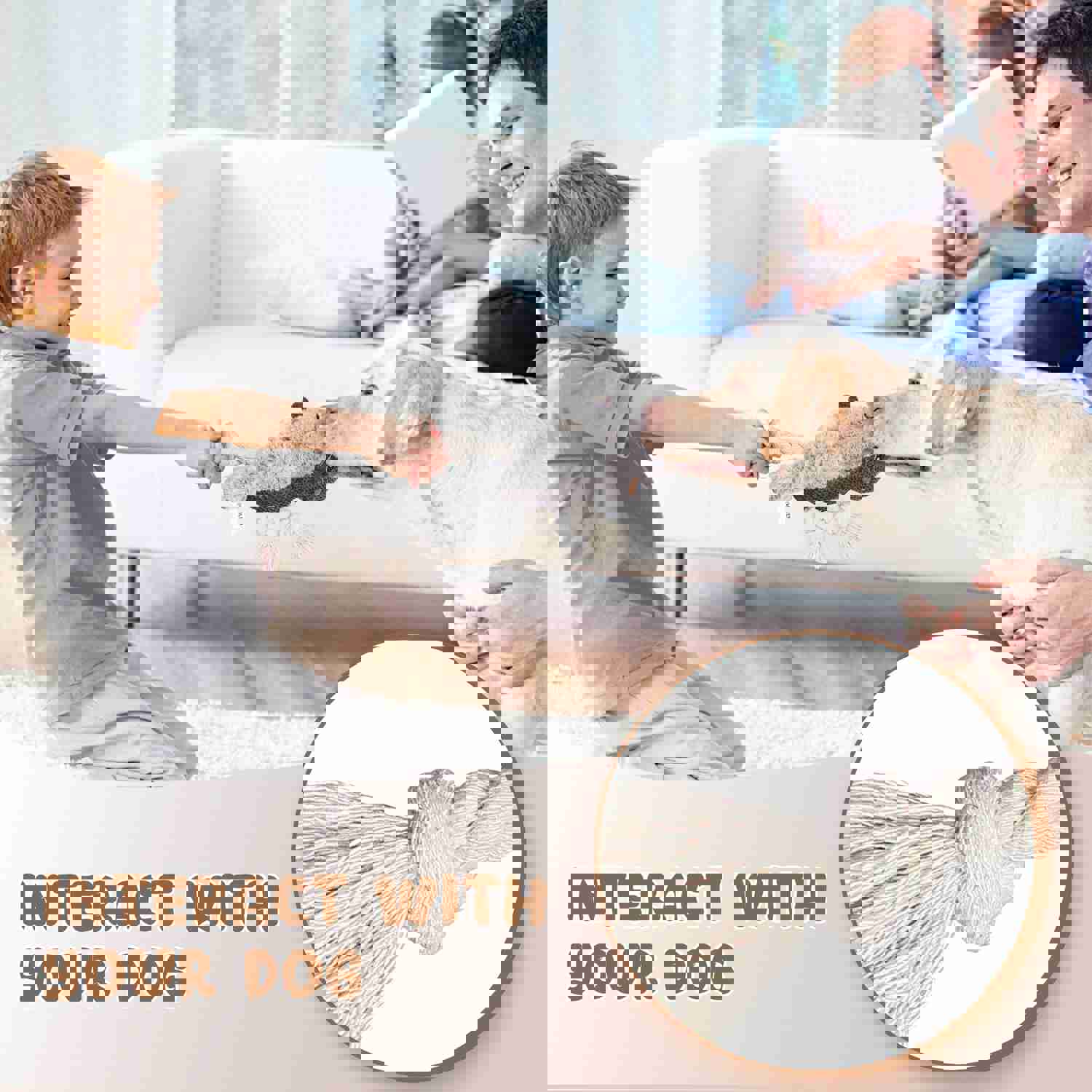 IPORLEER Dog Squeaky Toys - Durable Plush Chew Toy for Small, Medium & Large Dogs