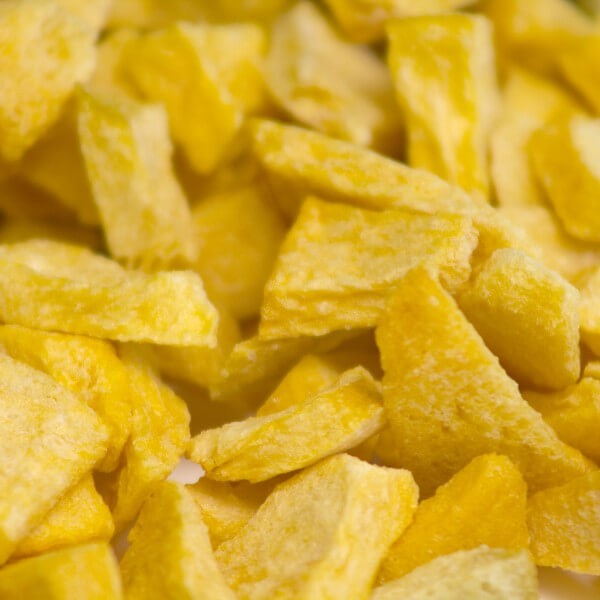 ReadyWise Freeze Dried Fruit Grab & Go Bucket - Gluten-Free, 120 Servings, 20 Year Shelf Life