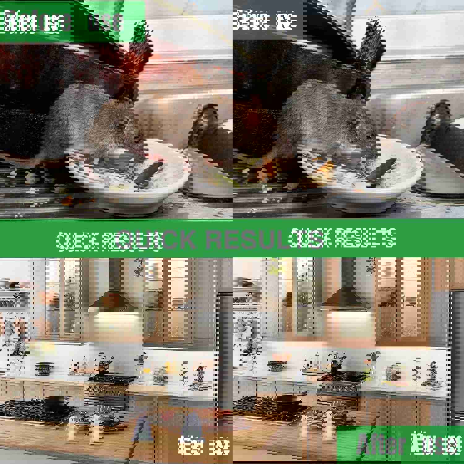 EverField Peppermint Oil Rodent Repellent - 12 Pack, Safe & Natural Pest Control for Indoor & Outdoor Use