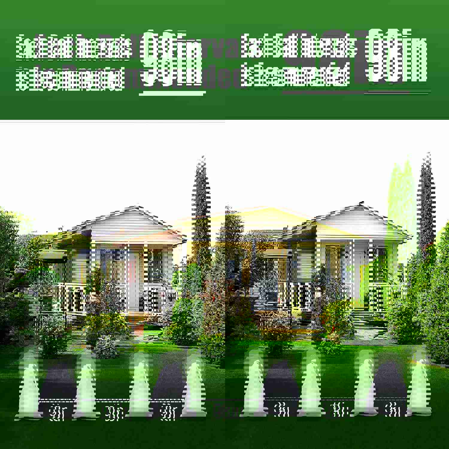 EverField Peppermint Oil Rodent Repellent - 12 Pack, Safe & Natural Pest Control for Indoor & Outdoor Use