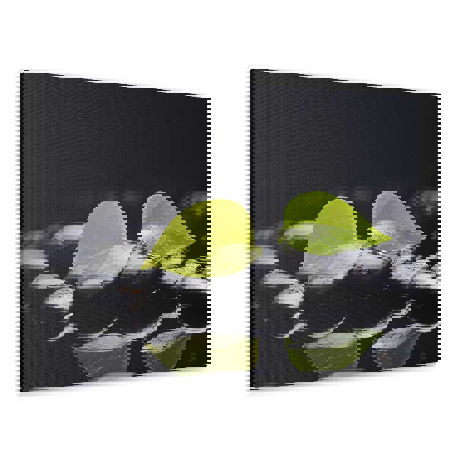 Green Leaf with Stones Forest Floral Nature Photography Canvas Wall Art for Home Decor