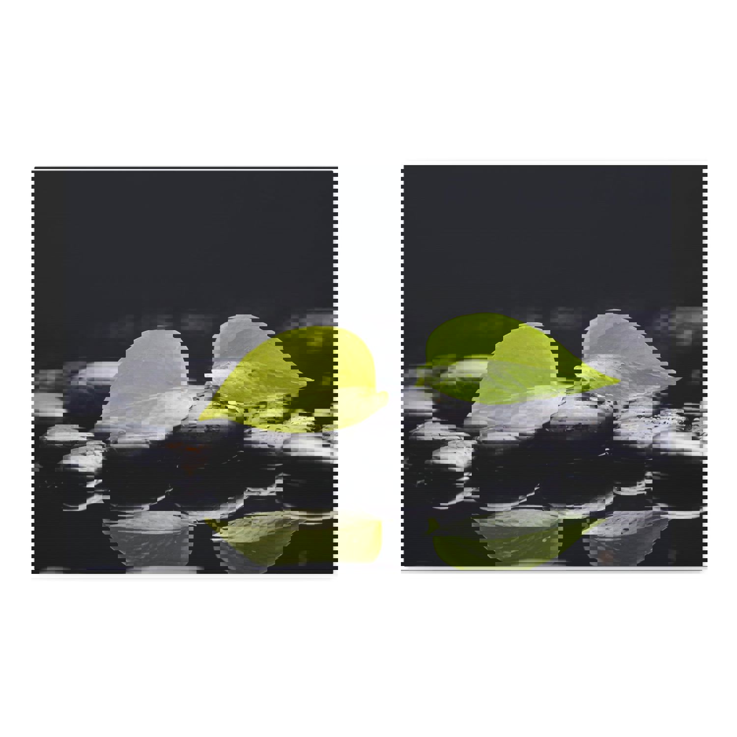 Green Leaf with Stones Forest Floral Nature Photography Canvas Wall Art for Home Decor