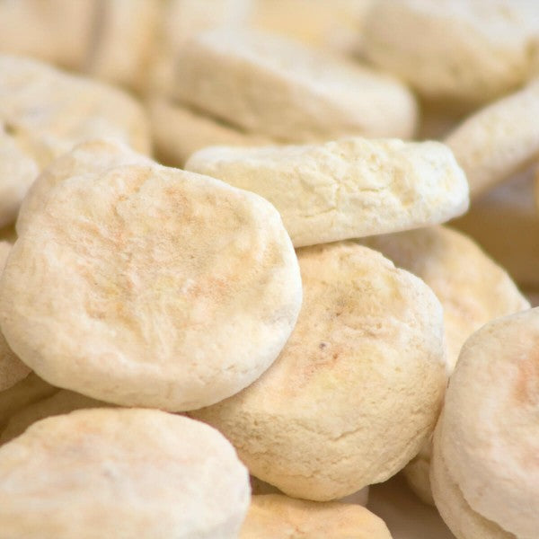 ReadyWise Freeze Dried Fruit Grab & Go Bucket - Gluten-Free, 120 Servings, 20 Year Shelf Life