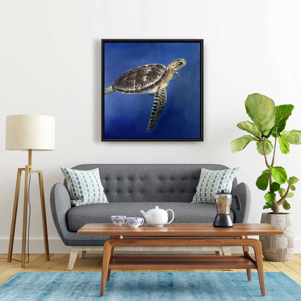 Turtle In The Ocean, Fine Art Gallery Wrapped Canvas 36x36