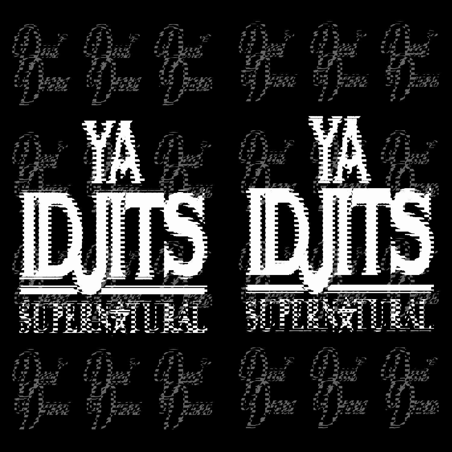 Supernatural-Inspired Vinyl Decal - Ya Idjits, Sam and Dean, Winchester Boys, Hunters