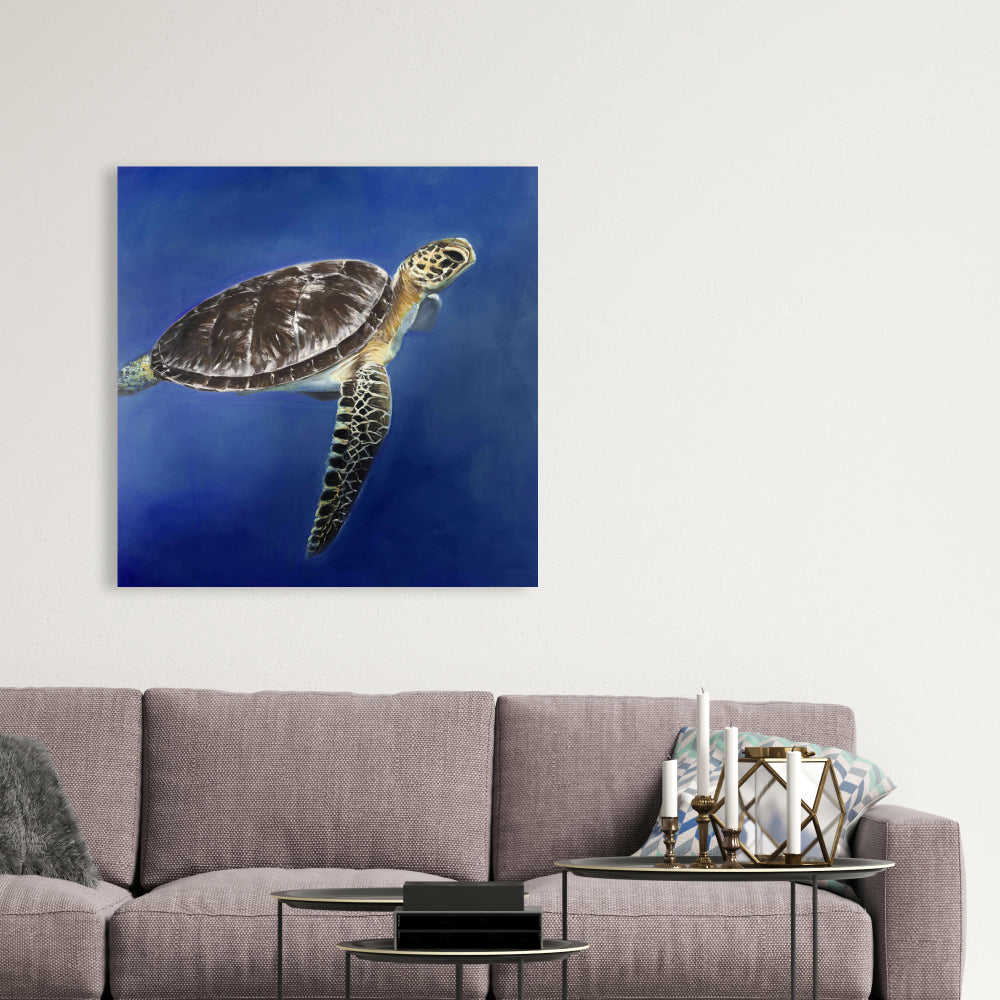 Turtle In The Ocean, Fine Art Gallery Wrapped Canvas 36x36