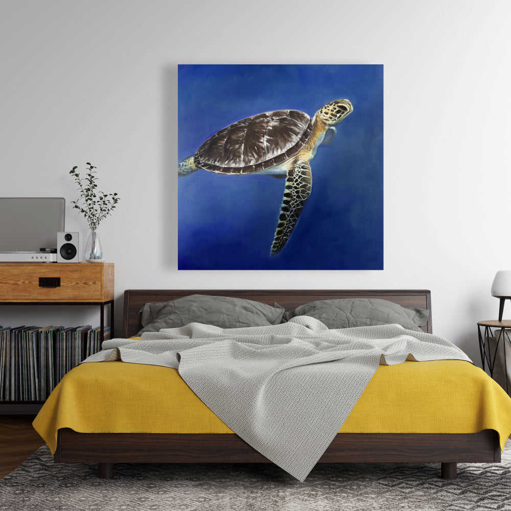 Turtle In The Ocean, Fine Art Gallery Wrapped Canvas 36x36