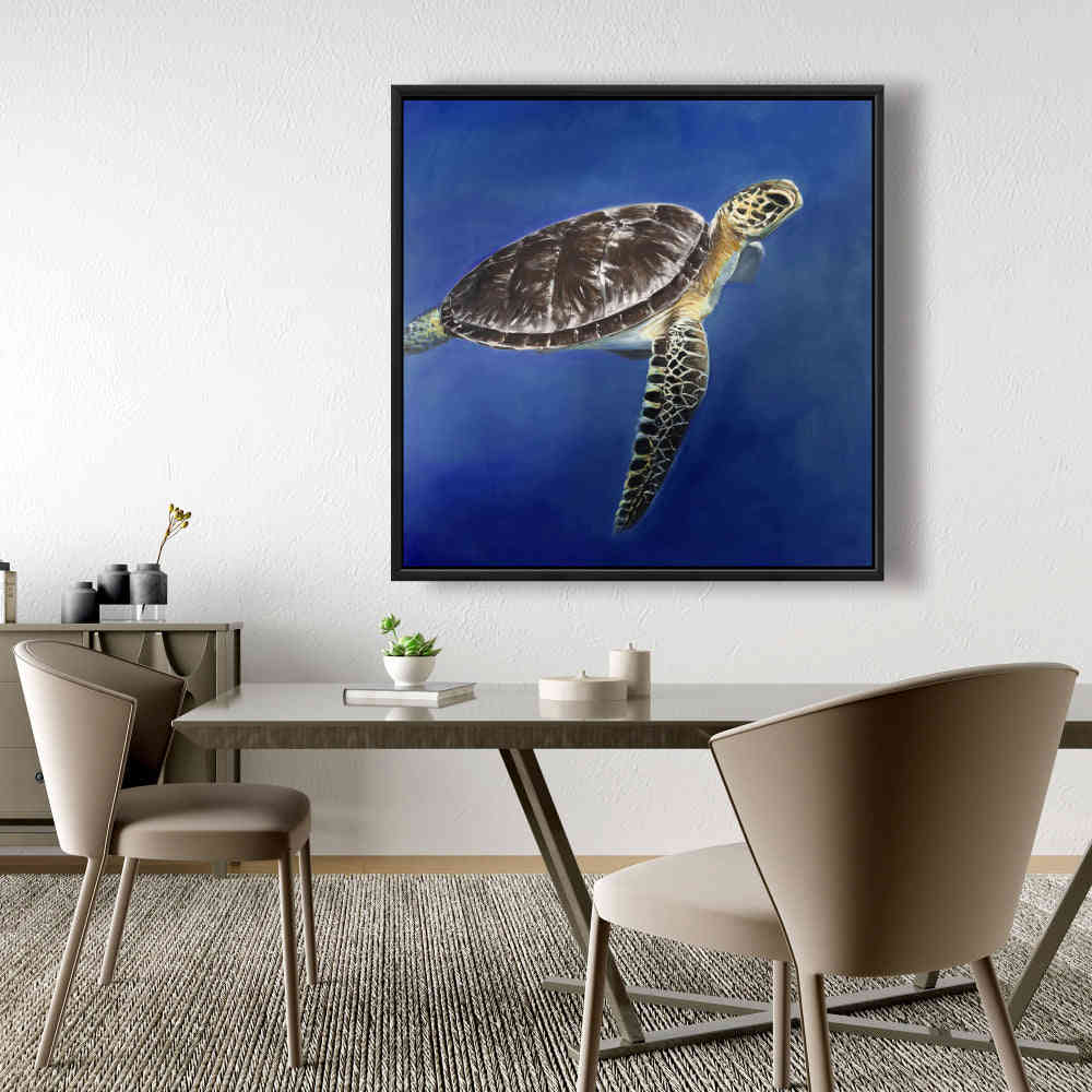 Turtle In The Ocean, Fine Art Gallery Wrapped Canvas 36x36
