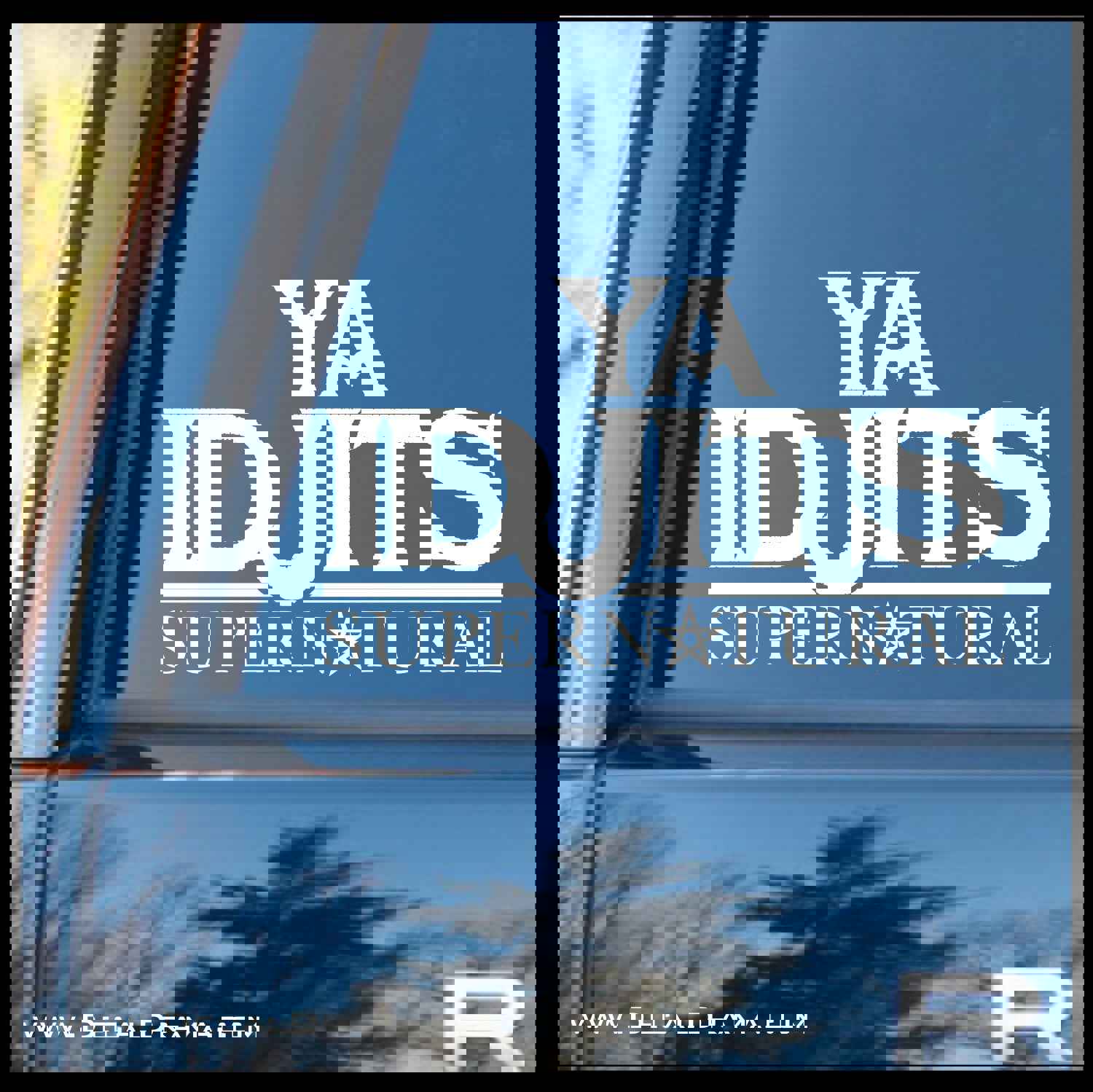 Supernatural-Inspired Vinyl Decal - Ya Idjits, Sam and Dean, Winchester Boys, Hunters