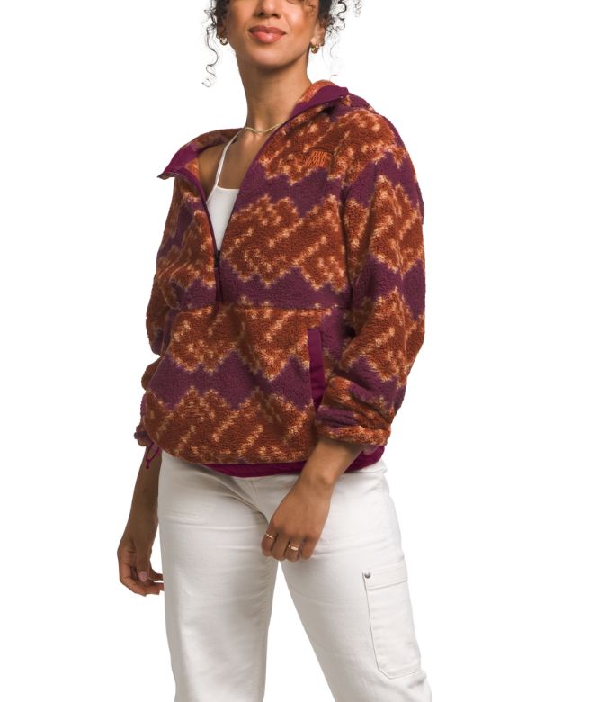 The North Face Women's Campshire Fleece Hoodie Sweatshirt