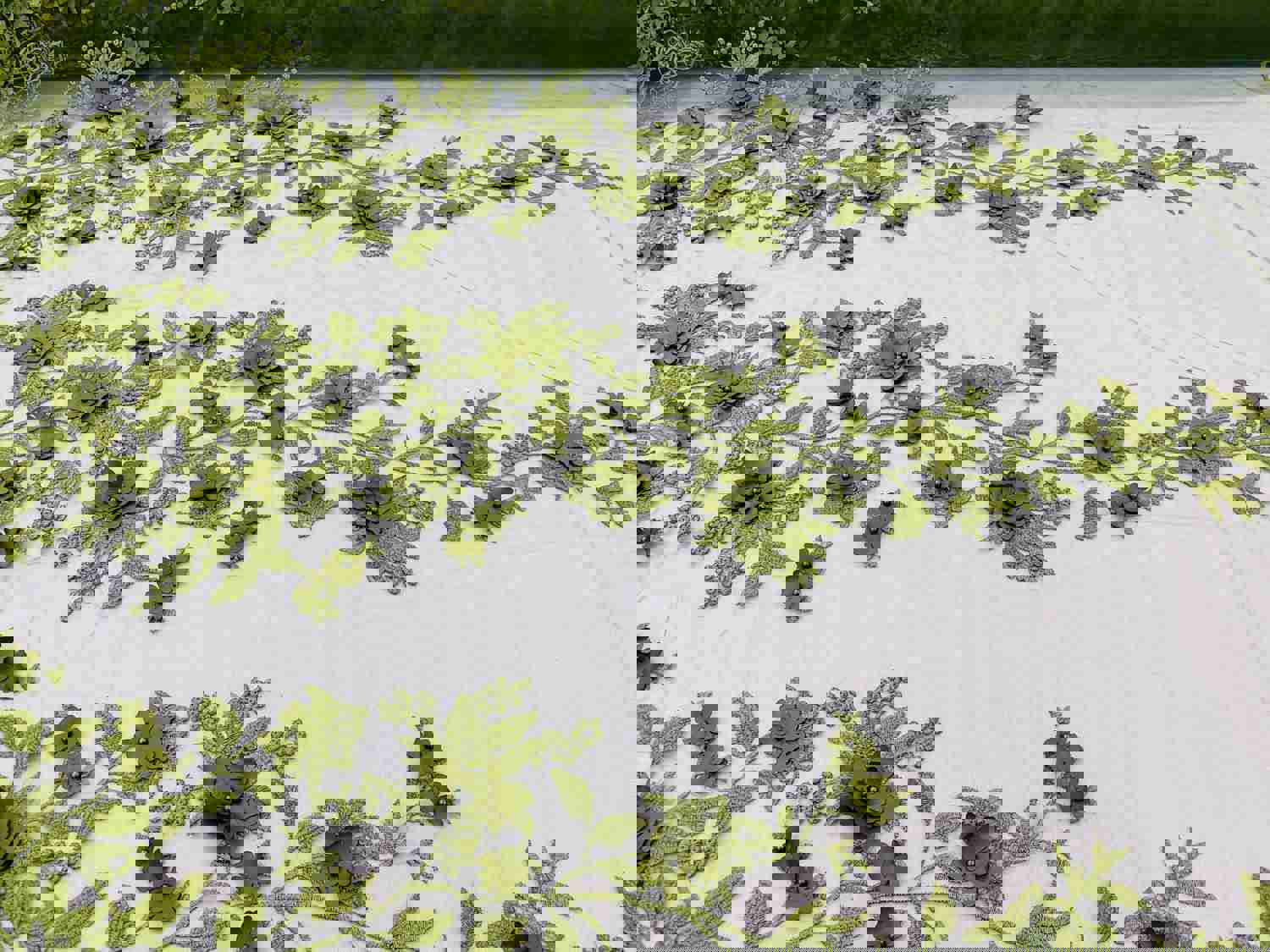 Olive Green Two Tone 3D Floral Embroidered Beaded Mesh Lace Fabric