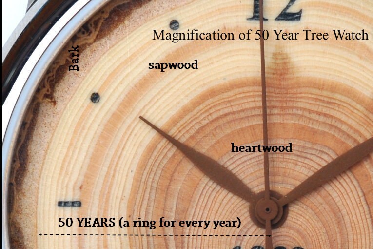 Mens Watch Made of Tree Rings - Unique 50th Birthday or Anniversary Gift