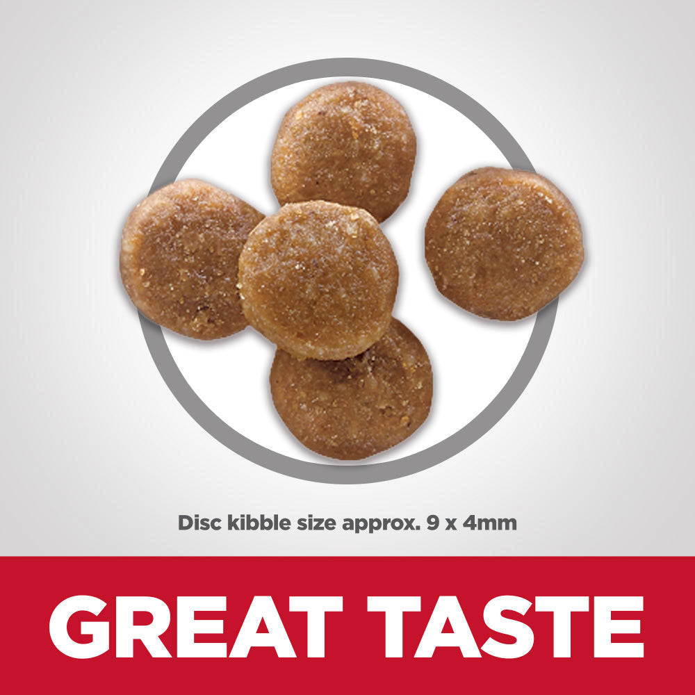 Hills Science Diet Adult Perfect Digestion Dry Cat Food with ActivBiome+ Technology