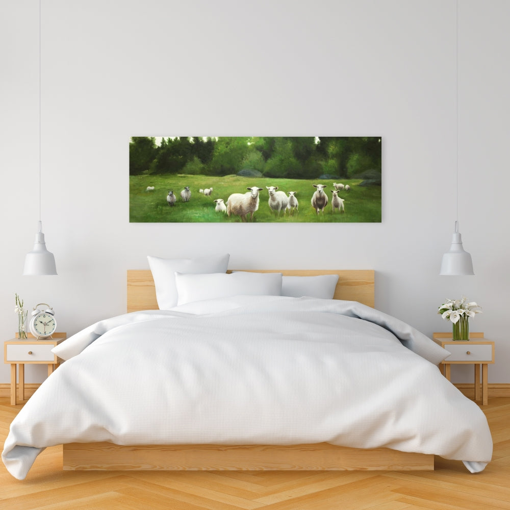 Fields Of Sheep, Fine Art Gallery Wrapped Canvas 16x48