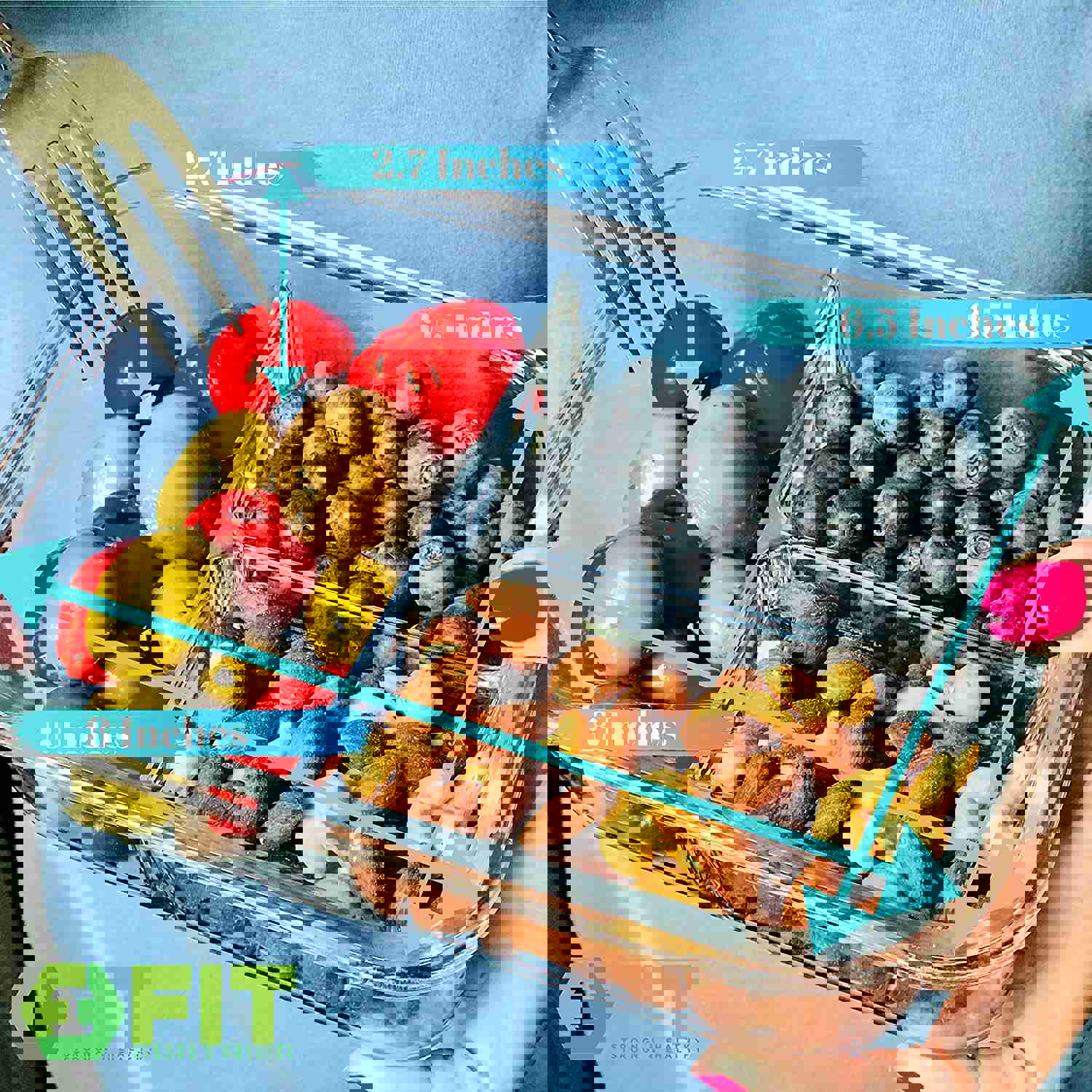 FIT Strong & Healthy 2 & 3 Compartment Glass Meal Prep Containers (4 Pack, 32 oz)