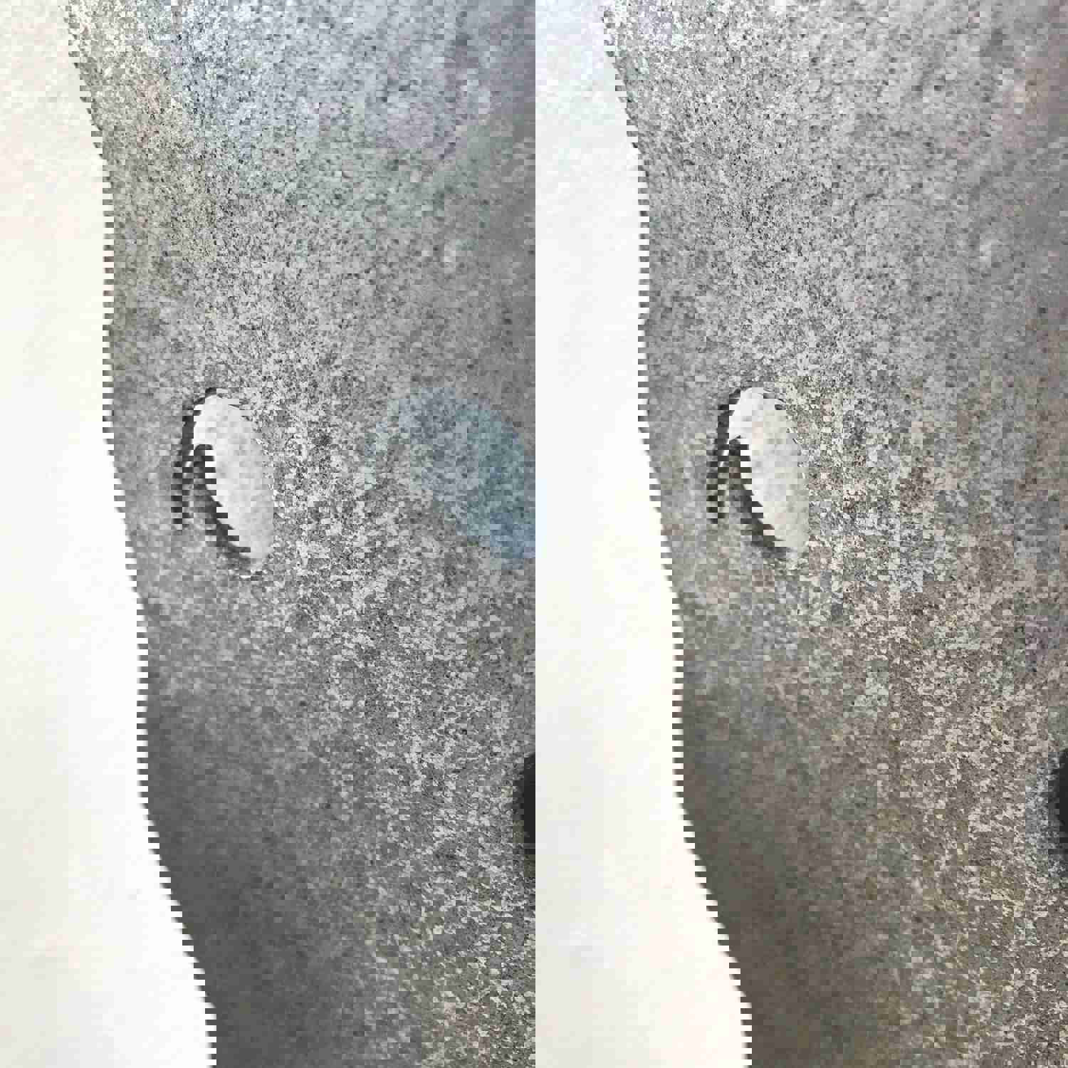 Handmade Chihuahua Metal Wall Art - Custom Size & Color - USA Made - Free Shipping