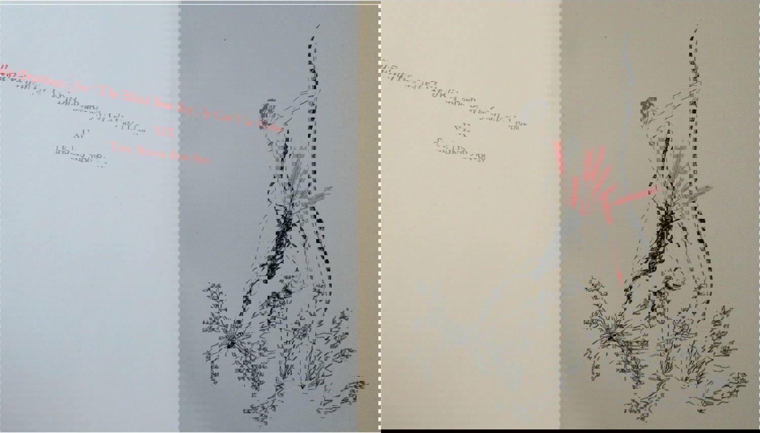 Alastair Color Art German Art Nouveau Artist 1925 Rare Book with 50 Plates Limited Edition