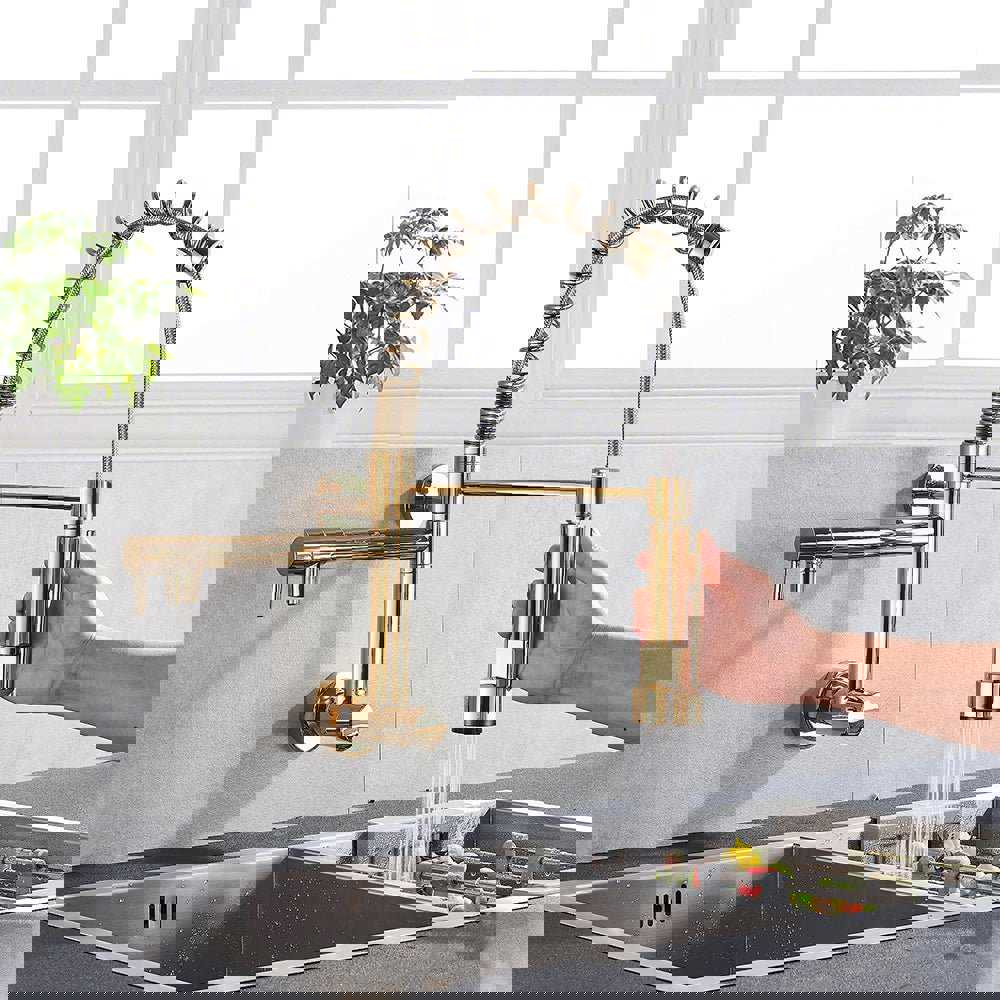 MIRODEMI® Wall Mounted Swivel Side Sprayer Dual Spout Kitchen Tap