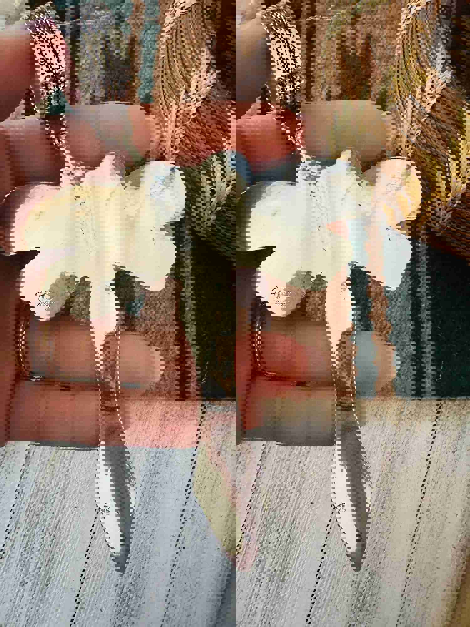 Navajo Sterling Silver & Turquoise Dragonfly Pendant by Richard Singer