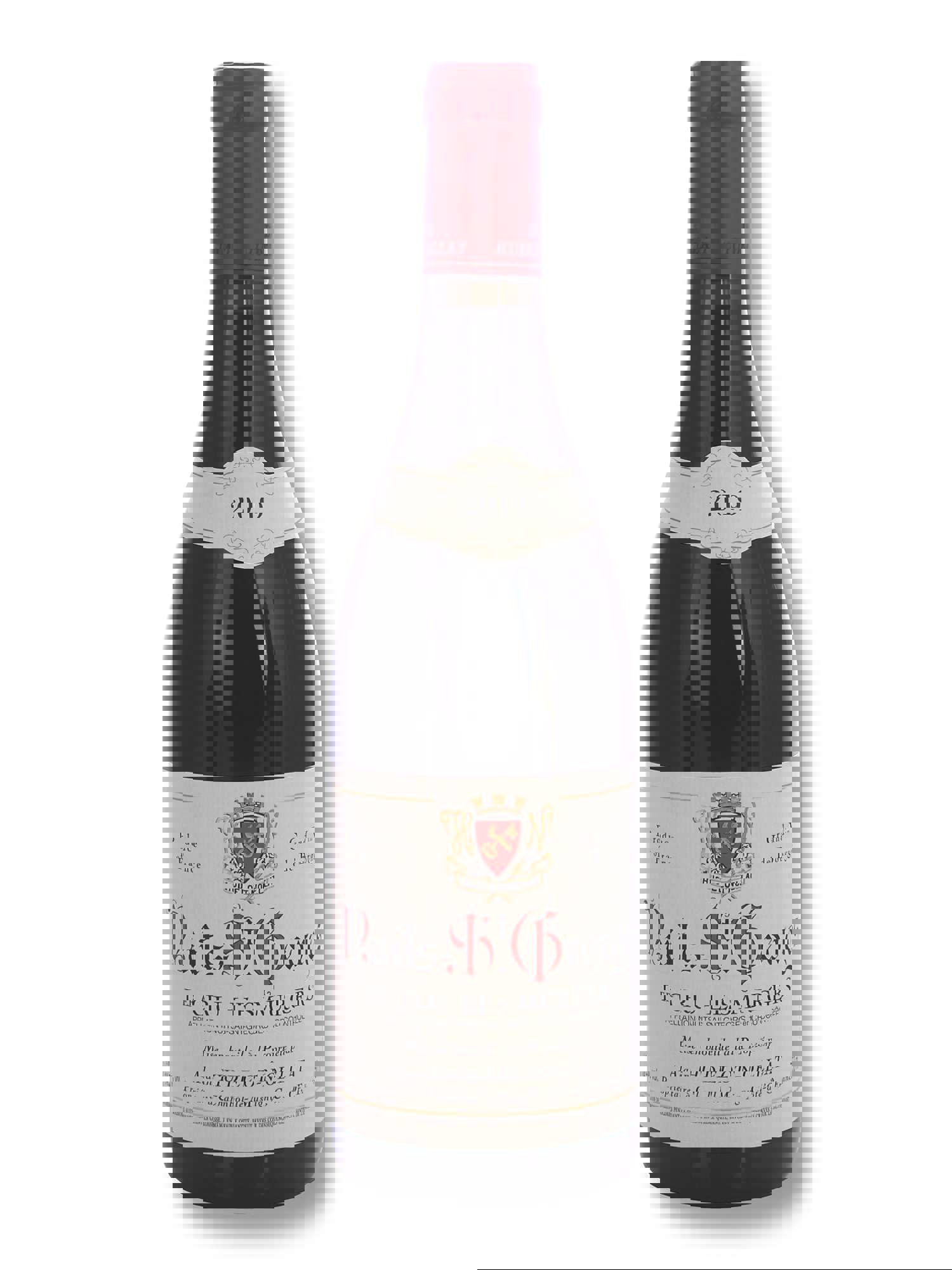 2019 Alain Hudelot-Noëllat Nuits-St.-Georges 1er Cru Les Murgers