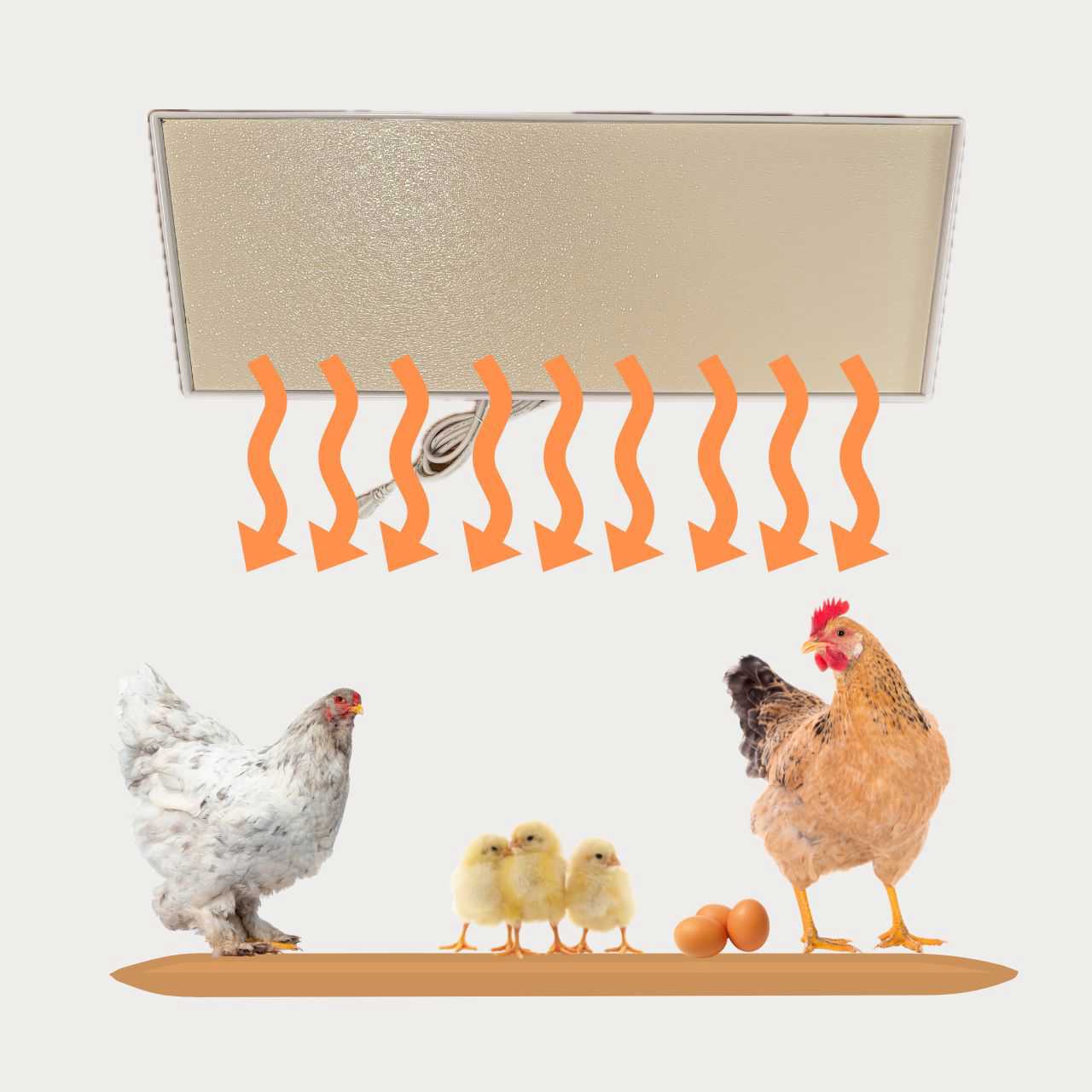 Chicken Coop Heater - Safe Radiant Brooder Heater with 3 Year Warranty