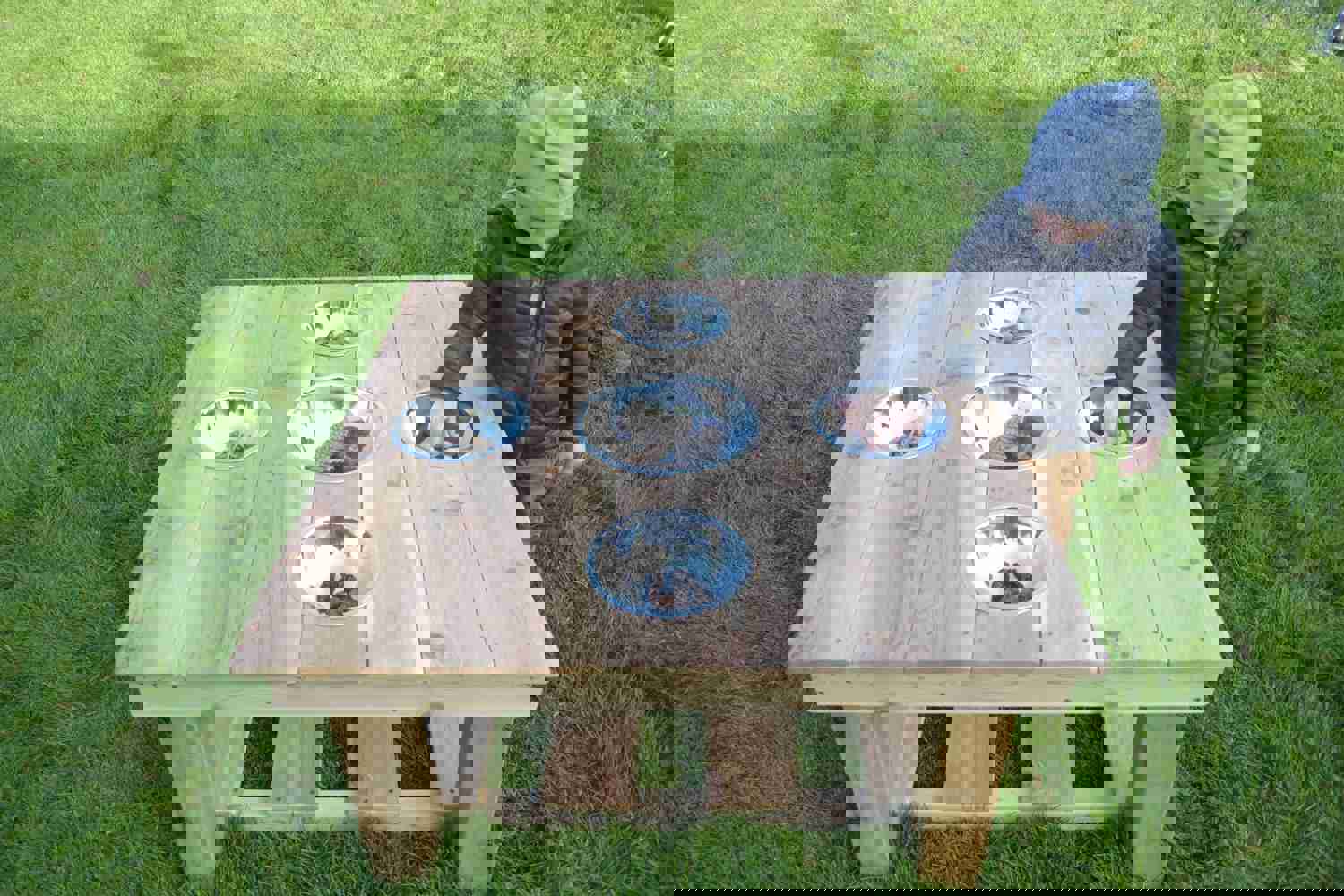 Outdoor Messy Activity Table With 5 Metal Bowls for Kids