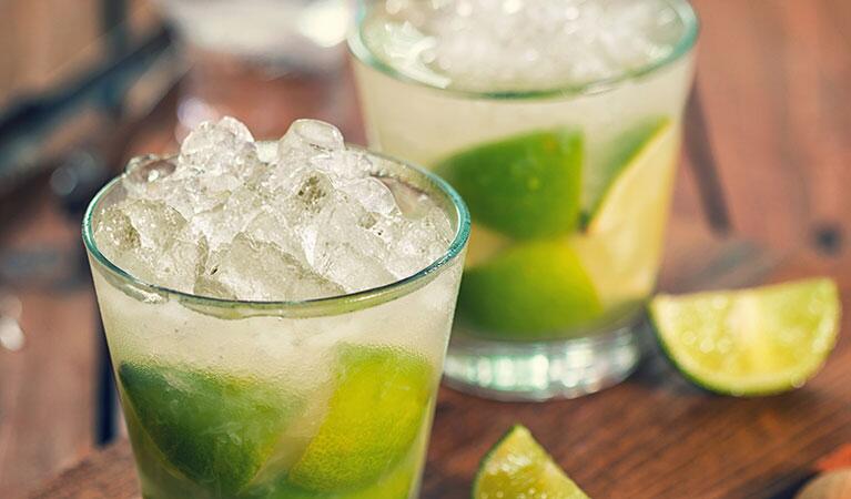 Perlick Series 15-Inch Outdoor Undercounter Ice Maker, Panel Ready, Reversible Hinge (H80CIMW-AD)