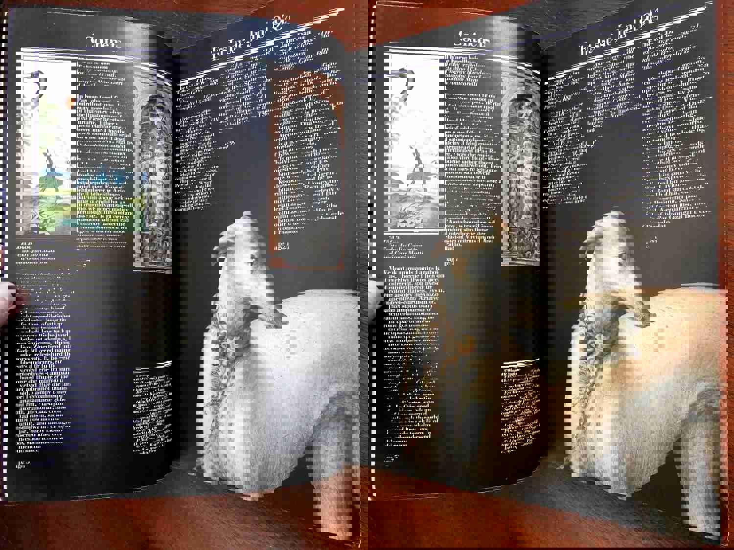 FMR Magazine Issues 1-5 - Luxury European Arts Collection (1984)