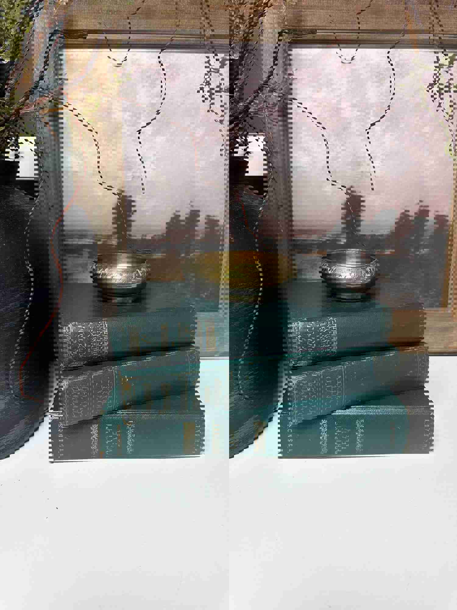 Green Vintage Books for Home Decor