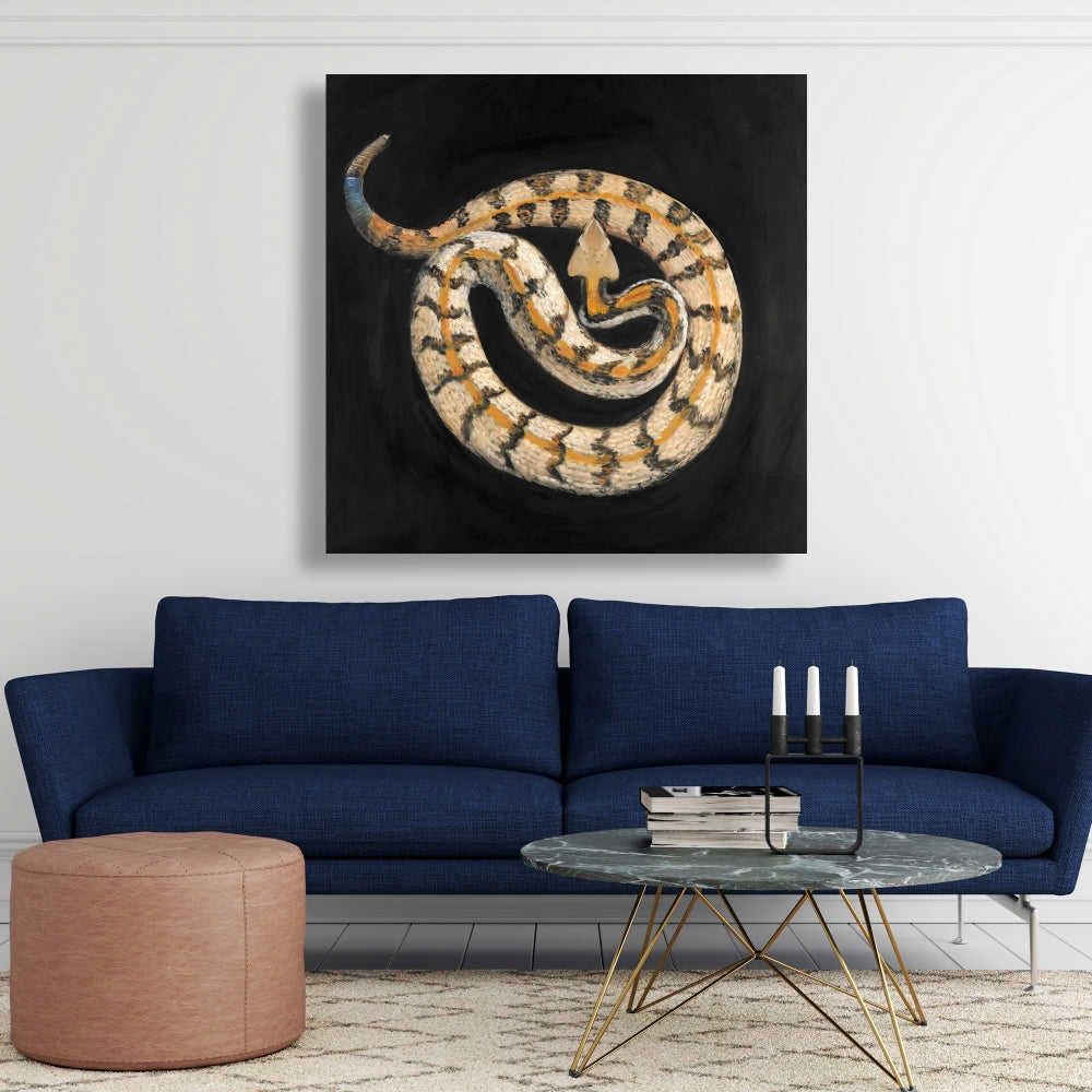 Southern Timber Rattlesnake Fine Art Gallery Wrapped Canvas 36x36