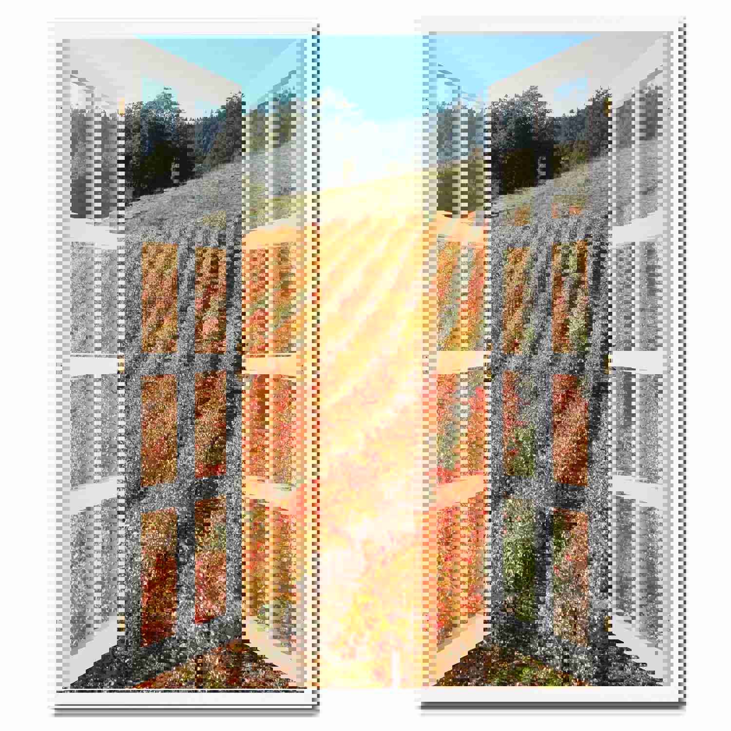 Wine Vineyards Sonoma California Picture French Window Canvas Print with Frame - Home Decor Wall Art Collection