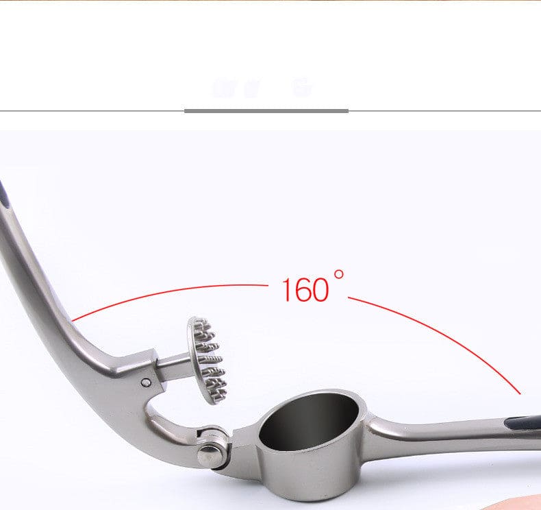 Manual Garlic Press Mashing Tool - Zinc Alloy Kitchen Gadget